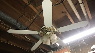 52” Harbor Breeze Whitestar Ceiling Fan [upl. by Gabbie]