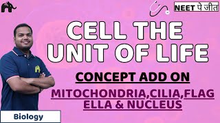 Cell The Unit of Life Class 11 Biology NEET  Cell Organelles Mitochondria Plastids Ribosomes [upl. by Naejarual]