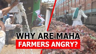 Dance of Democracy 2024 Why are Maharashtra Farmers Angry [upl. by Frances]