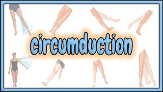 28 Circumduction Term  2D Animation [upl. by Llerad603]