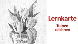 Tulpen zeichnen für Anfänger  das Tutorial zur Lernkarte [upl. by Eimma]