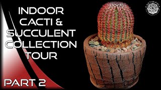 Indoor Cacti amp Succulent Collection Tour  November 2022  Part 2 [upl. by Johnnie]