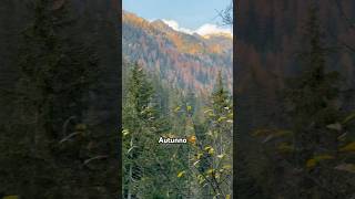 Autumn in Alps italy trentino altoadige nature [upl. by Blockus690]