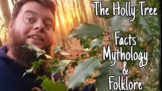 The Holly Tree Facts Mythologies amp Folklores [upl. by Kalle]