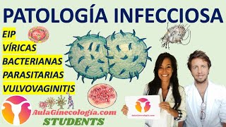 PATOLOGÍA INFECCIOSA AulaGinecología  STUDENTS BACTERIANAS VÍRICAS PARASITARIAS EIP [upl. by Enida]