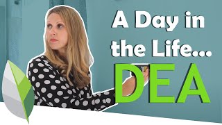 Day in the Life of a Domestic Energy Assessor [upl. by Behnken]