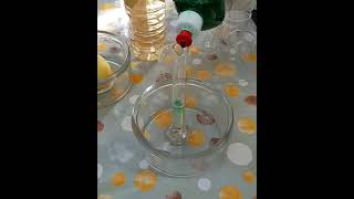 THE REACTION BETWEEN POTASSIUM IODIDE AND HYDROGEN PEROXIDE [upl. by Aerdnac483]