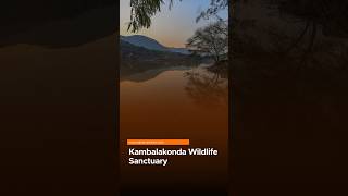 Kambalakonda Wildlife Sanctuary vajiramandravi [upl. by Thinia]