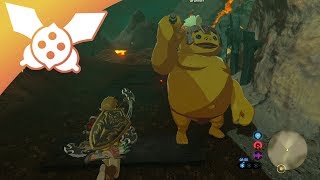 LP The Legend of Zelda Breath of the Wild 113  Bienvenue chez les Gorons [upl. by Harriot987]