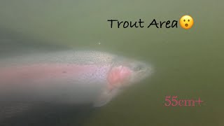 Łowisko Wędkarskie Żywiec Moszczanica’’  Trout Area🔝🐟 [upl. by Pegasus]