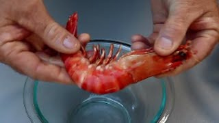 How to Peel Prawns  The Hook and The Cook [upl. by Nolur]