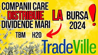 5 Companii care distribuie dividende mari la bursa in 2024  Dividende Tradeville [upl. by Aveline376]