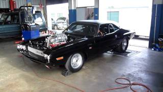 1600HP Dodge Challenger Dyno Run Australia [upl. by Fernande]