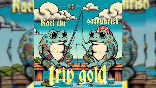 Trip Gold  Kael dlu x 999YUNRISH ProdJammyBeatz [upl. by Friedman]