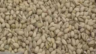 VIBCOs Vibrating Table Demonstration  Pistachios [upl. by Ammej]