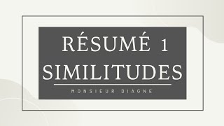 SIMILITUDES PLANES DIRECTES RÉSUMÉ 1 [upl. by Donaghue577]