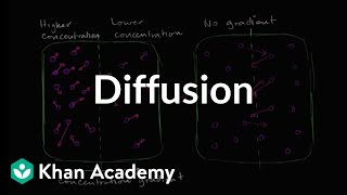 Diffusion  Membranes and transport  Biology  Khan Academy [upl. by Bokaj]