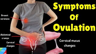 Ovulation Symptoms Signs Of Ovulation and how to know when you are ovulating [upl. by Rapsac]