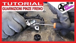 COME SOSTITUIRE LE GUARNIZIONI DEI PISTONCINI DELLA PINZA FRENO SHIMANO [upl. by Esiuolyram246]