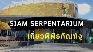 One free day  BKK EP16 เที่ยวพิพิธภัณฑ์งู Siam Serpentarium [upl. by Gloriana]