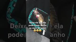 Minha cat tomando banho sem vergonha 😂😂😂😂 [upl. by Pompea268]