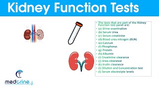 Kidney Function Tests and Interpretation of Results [upl. by Ainirtac]