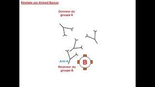 Mécanisme de lhémagglutination [upl. by Ahselyt801]