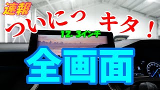 【速報】〖ナビ男くん〗がやってくれました！【新型ハリアー】の１２．３インチナビの全画面化がついに実現！〖Gジャストキャンセラー〗【全画面】概要欄をよく読んで下さいね～♬ [upl. by Nica533]