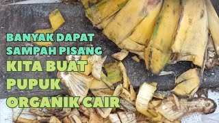 ENGGAK PAKAI RIBET BUAT PUPUK ORGANIK CAIR DARI KULIT PISANG [upl. by Halueb843]