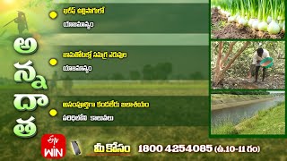 5th August 2024  Annadata  అన్నదాత  Full Episode  ETV Telugu [upl. by Boniface]