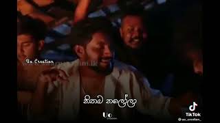 Salena lelena daluwa wilasa cover songසරා  nadagamkarayo [upl. by Tannenwald]