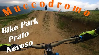 Muccodromo Bike Park Prato Nevoso  MTB  23082024 [upl. by Aksoyn]