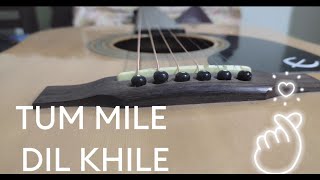 Tum Mile Dil Khile  Guitar Cover  Criminal Songs  Akkineni NagarjunaManisha Koirala Kumar Sanu [upl. by Zerep]