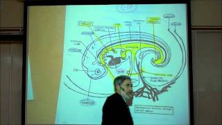 INTRO TO HUMAN EMBRYOLOGY PART 2 by Professor Fink [upl. by Aharon]