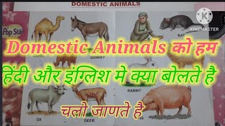 Domestic Animals Name English and Hindi Domestic Animals kaise pahchane [upl. by Colwen]