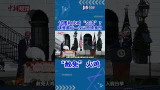 试图和火鸡“交流”？拜登最后一次以总统身份“赦免”火鸡 美国 感恩节 拜登 火鸡 赦免 [upl. by Singhal508]