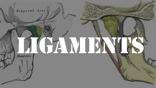 Ligaments of temporomandibular joint [upl. by Ymeon]