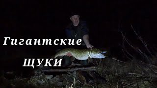 Рыбалка в Норвегии на реке Гломма Fiske i Glomma Такого я не ожидал [upl. by Arty]