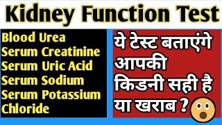 Kidney function test in hindi [upl. by Badr531]