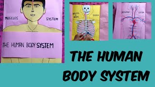 Human body system💀👦👦 human body system science project model [upl. by Alesig]