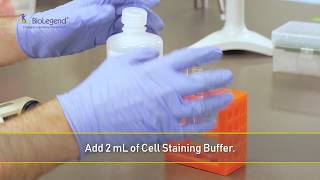 Intracellular Phospho Staining For Flow Cytometry [upl. by Alliuqa]