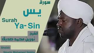 Surah Yasin  Heart Touching  Sheikh Noreen Muhammad Siddique [upl. by Doolittle19]