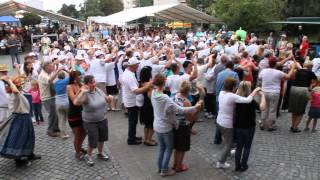 WochenKurier  FlashmobAnnemariePolka in Lübbenau [upl. by Yellas]