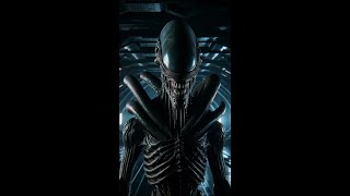 How Xenomorphs Reproduce Eggs Explained shorts [upl. by Marita]