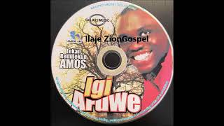 Evang Lekan Remilekun Amos Igi Aruwe Ilaje Gospel [upl. by Aicila]