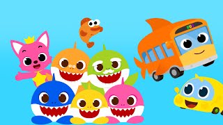 Best Baby Shark and Bus Songs  Pinkfong Compilation  Pinkfong Songs for Kids [upl. by Ecire]