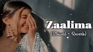 Zaalima SlowedReverb Arijit Singh  Lofi Song  Prashant [upl. by Leod904]