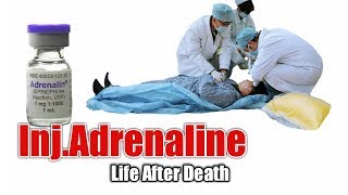 Injection Adrenaline  Emergency Drugs  Action  side effects [upl. by Ahsinrev865]