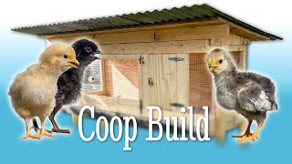 Constructing the chicken coop for the chicks [upl. by Tallia]