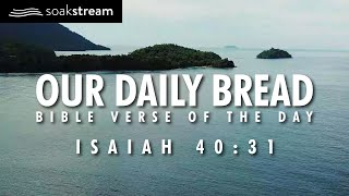 A Bible Verse For When You Need STRENGTH  OUR DAILY BREAD  Isaiah 4031 shorts [upl. by Atiuqel]